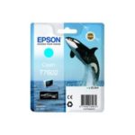 Cartucho Tinta Epson T760240 Cian Supercolor T7602