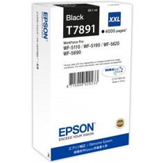 Cartucho Tinta Epson C13T789140 Negro Xxl T7891