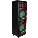 Altavoz Premium Ngs Wild Ska 2 WILDSKA2