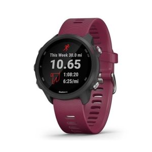 Smartwatch Garmin Sportwatch Forerunner 245 F.cardiaca DSP0000000406