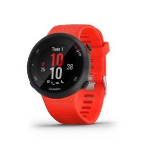 Smartwatch Garmin Sport Watch Forerunner 45 DSP0000000415