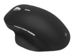 Mouse Raton Ergonomico Microsoft Precision Mouse MGS0000006208