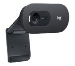 Webcam Logitech C505E 1280X720P 30Ps Usb 960-001372