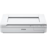 Escaner Plano Epson Workforce Ds - 50000 A3 B11B204131
