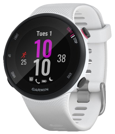 Smartwatch Garmin Sport Watch Forerunner 45S DSP0000000416
