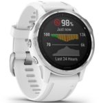 Reloj Smartwatch Garmin Fenix 6S Plata DSP0000002283