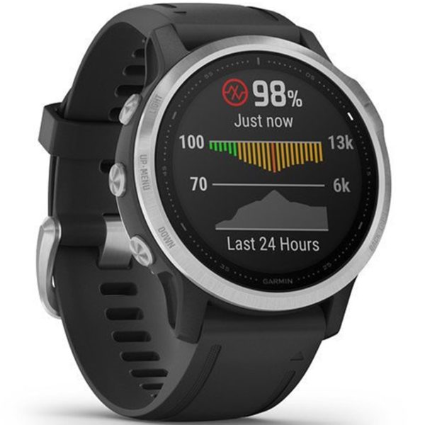 Reloj Smartwatch Garmin Fenix 6S Plata DSP0000002288